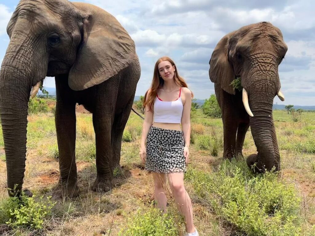 me and elephants