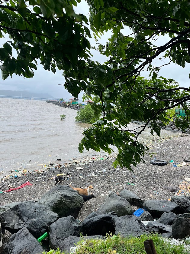 visiting Elephanta Island