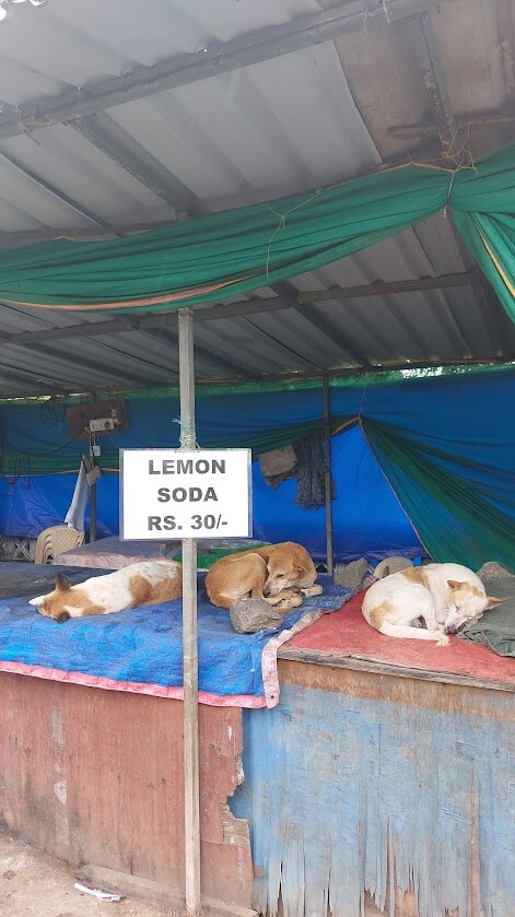 visiting Elephanta Island