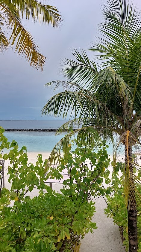 reasons not to visit the maldives